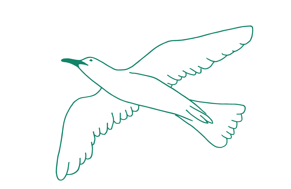 vulvodynier fugl illustrasjon